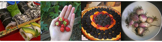 Homemade Sushi | 228/365, Strawberry Harvest | 214/365, Fruit Tart | 62/365, Turnips | 47/365